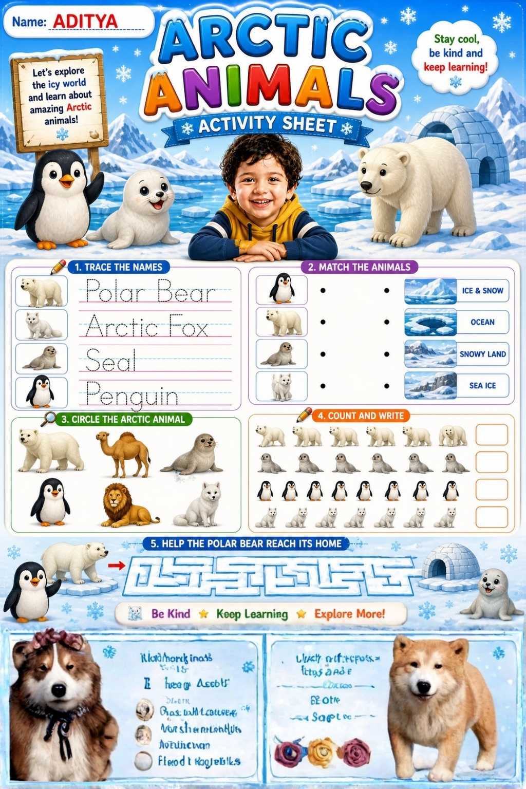 Activity Sheet 12